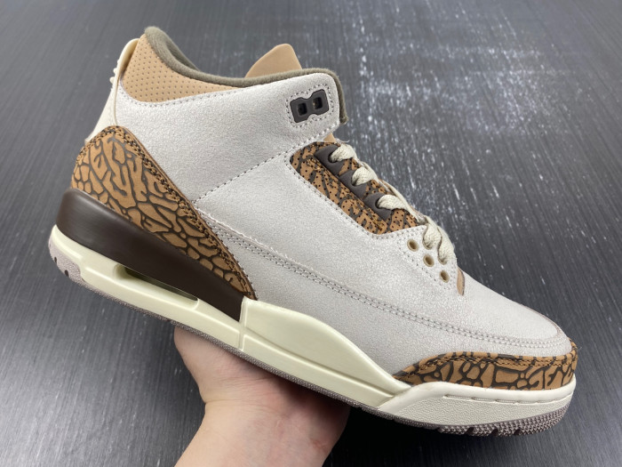 Air Jordan 3 “Palomino” CT8532-102