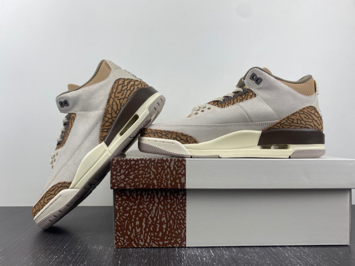 Air Jordan 3 “Palomino” CT8532-102