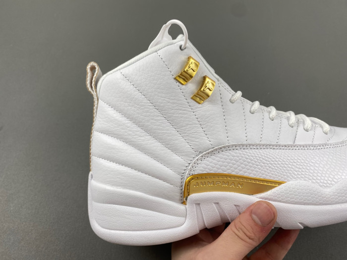 Air Jordan 12 WMNS “Phantom” FD9101-007