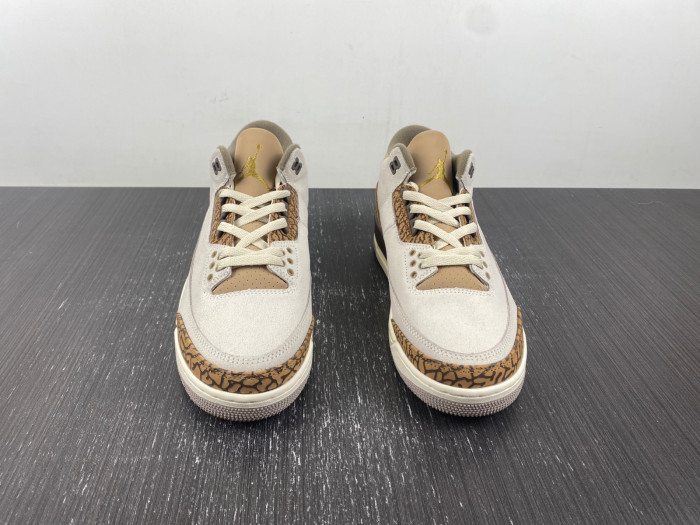 Air Jordan 3 “Palomino” CT8532-102