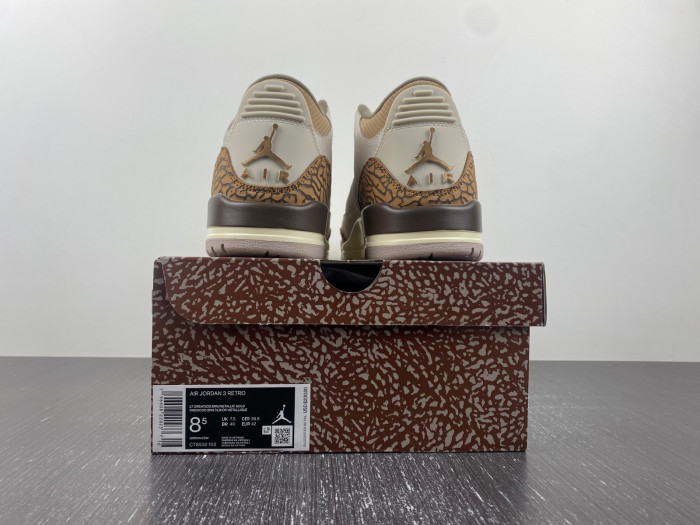 Air Jordan 3 “Palomino” CT8532-102