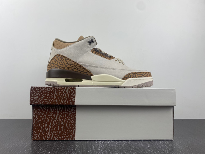 Air Jordan 3 “Palomino” CT8532-102