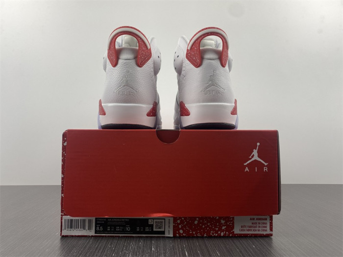 Jordan 6 Retro Hare CT8529-162