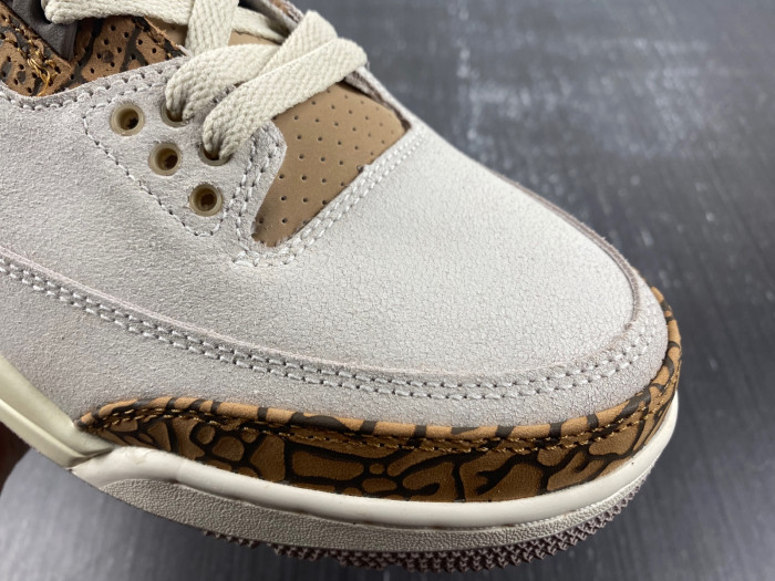 Air Jordan 3 “Palomino” CT8532-102
