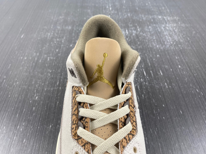 Air Jordan 3 “Palomino” CT8532-102