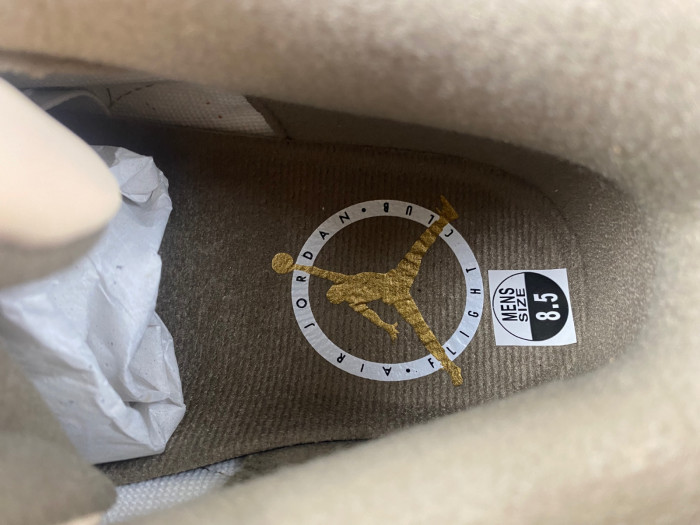Air Jordan 3 “Palomino” CT8532-102