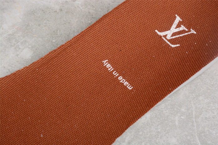 LV TRAINER SNEAKER LOW